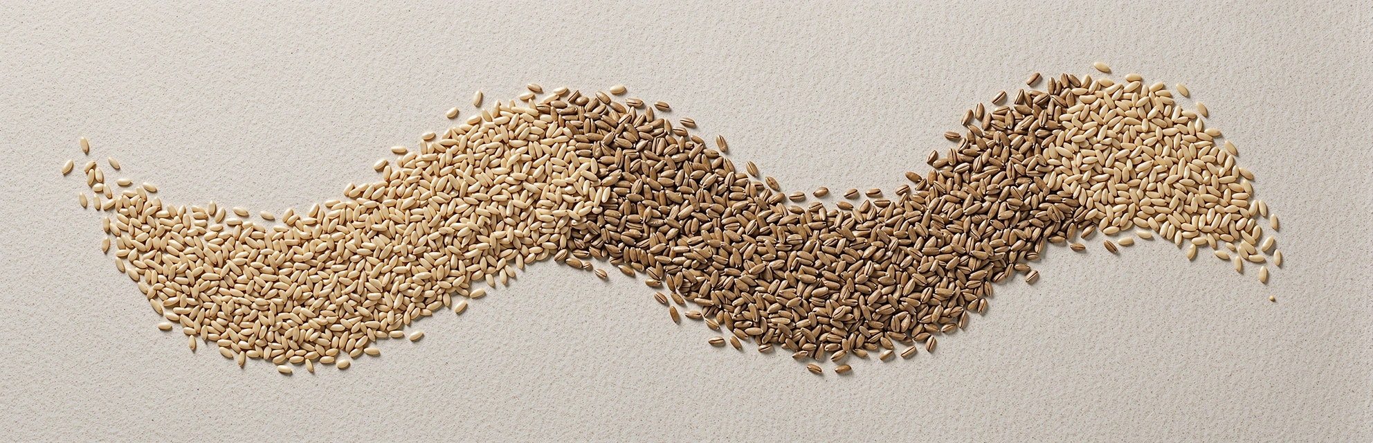 Composizione di semi